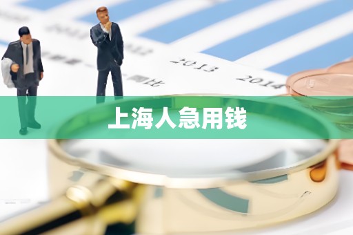 上海人急用钱