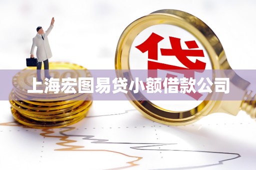 上海宏图易贷小额借款公司