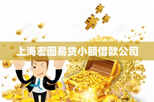 上海宏图易贷小额借款公司