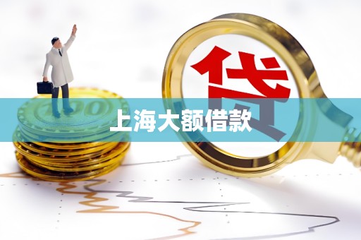 上海大额借款