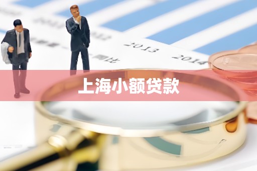 上海小额贷款